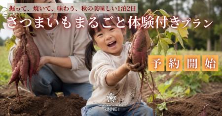 【掘ったお芋は、その日は食べません。】さつまいも産
