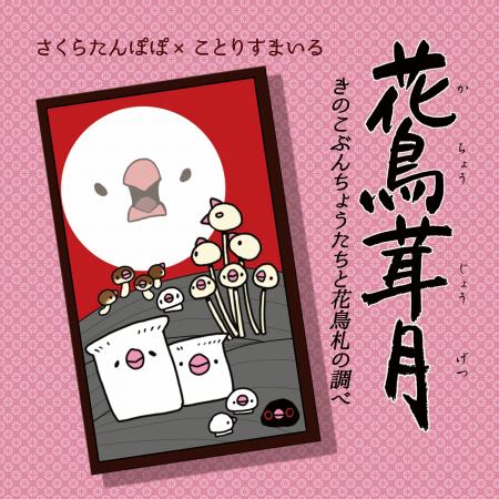 文鳥イベント＆作家様在廊も開催！ことりすまいる最新