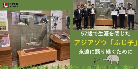 岡崎市東公園動物園にて「ゾウ剥製標本用什器4点」の