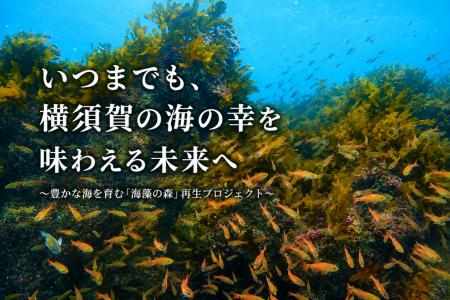 ふるさと納税型クラウドファンディングの開始について