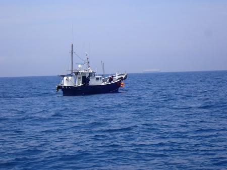 深海1,000m級に沈めた海藻を回収 国内初の成功 深海1,000m級に沈めた海藻を回収 国内初の成功