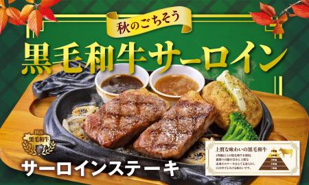 【ビッグボーイ】国産黒毛和牛サーロインのごちそうメ