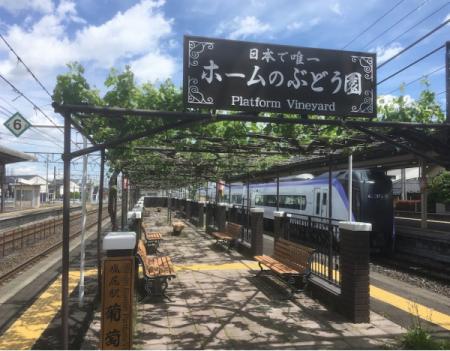 【日本で唯一！ホームのぶどう園でぶどう狩り】utf-8