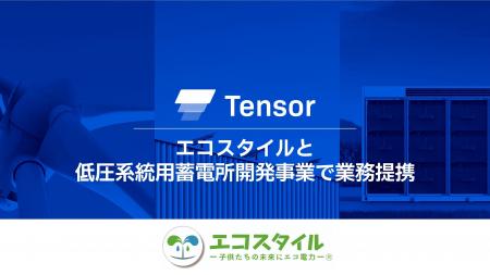 Tensor Energy、エコスタイルと低圧系統用蓄電所開発