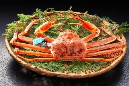 11月6日解禁！石川【タグ付きブランド加能ガニ】1人1