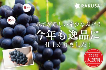 果物のプロ「小林泰平堂」が太鼓判!希少ぶどう『ナガ 果物のプロ「小林泰平堂」が太鼓判!希少ぶどう『ナガ