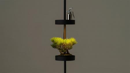 賃貸でも、どんなスペースも植物の特等席に。植物が喜