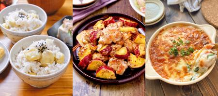 【秋野菜アンケート】人気1位は「さつまいも」！一方