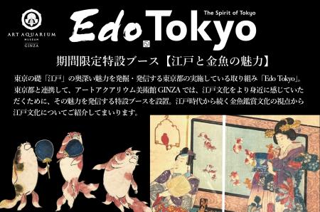 東京都と連携し、金魚鑑賞を通じて、江戸文化の魅力を