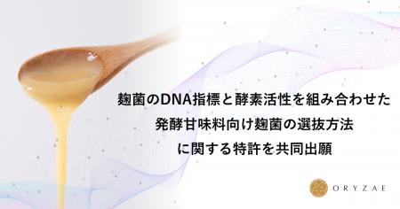 麹菌のDNA指標と酵素活性を組み合わせた発酵甘味料向 麹菌のDNA指標と酵素活性を組み合わせた発酵甘味料向