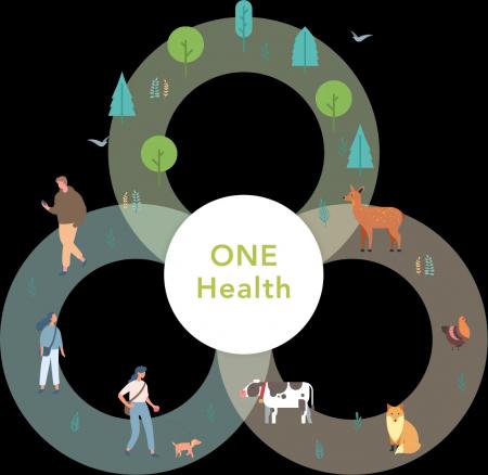 One Healthは、特別なことではない。旭川の自然と芸術