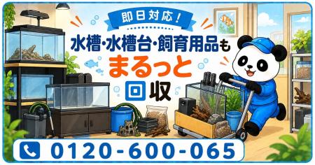 【我孫子市限定】10月限定キャンペーン｜アクアリウム