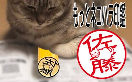 印鑑の常識を覆すことでクラウドファンディングで話題 印鑑の常識を覆すことでクラウドファンディングで話題