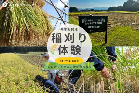 【ロッテアライリゾートホテル】 スキー場のリフトで 【ロッテアライリゾートホテル】 スキー場のリフトで