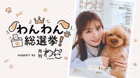 【愛犬が日本一に!?】みんなの一票でグランプリを決 【愛犬が日本一に!?】みんなの一票でグランプリを決