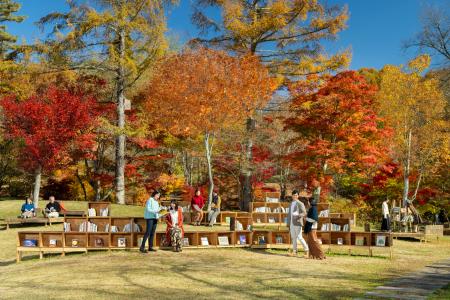 【軽井沢星野エリア】紅葉と川のせせらぎに包まれて「 【軽井沢星野エリア】紅葉と川のせせらぎに包まれて「