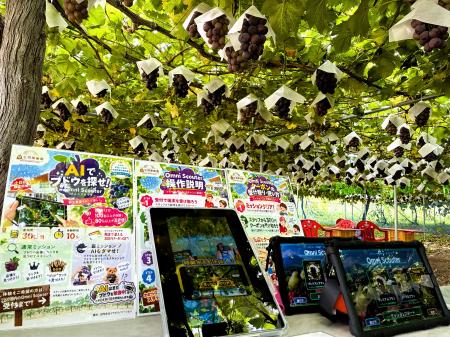 王将果樹園で「AI果物探索ゲーム」実証、104名が体験