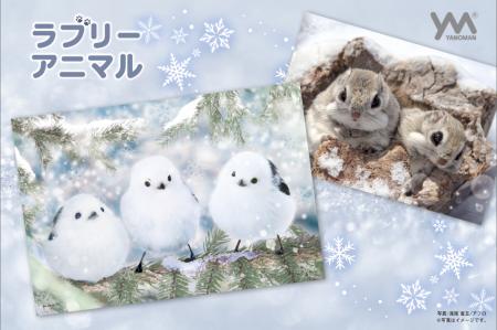 【つぶらな瞳に心ときめく】新シリーズ「ラブリーアニ