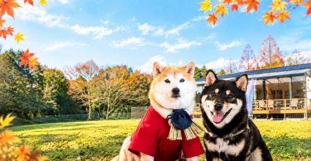 「愛犬と、秋風そよぐ伊勢でリトリート旅」和モダンな