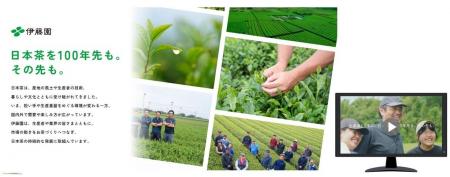 日本茶の価値と魅力を伝える特設サイト・動画を、9月1