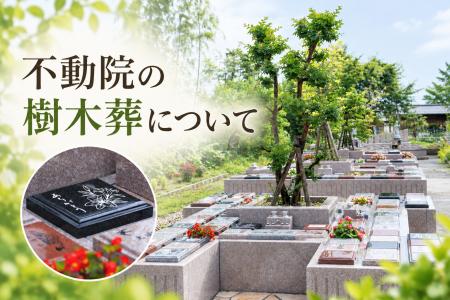 「全国おすすめ墓地・霊園・納骨堂50」新潟県代表選出