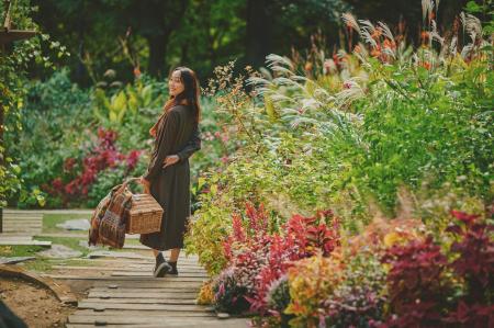 山上リゾートで「秋を使い切る一日」！「GARDEN FEST 
