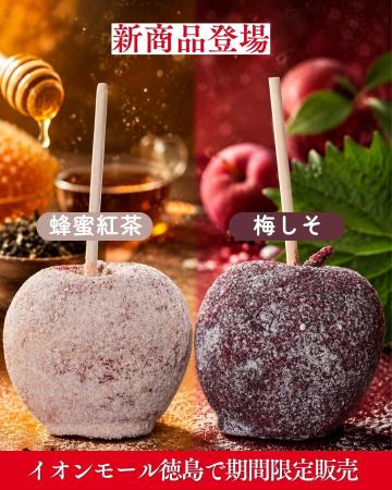 【明日から】2日間限定・先着100名様・全品650円(税込 【明日から】2日間限定・先着100名様・全品650円(税込