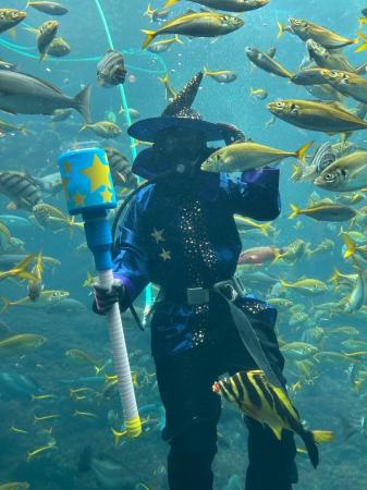 【下田海中水族館】魚たちも楽しみ？今年も仮装ダイバ