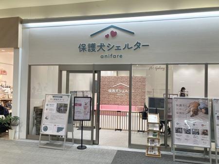 商業施設に保護犬シェルター - イオンモール大日に「 商業施設に保護犬シェルター - イオンモール大日に「
