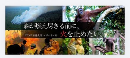 【緊急募金のお願い】インドネシア・ボルネオ島で大規