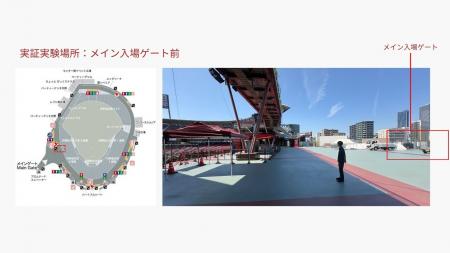 ビーライズとデータスタジアム、広島東洋カープ公式戦