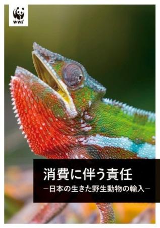 日本の生きた野生動物輸入に関する報告書を発表　― 日