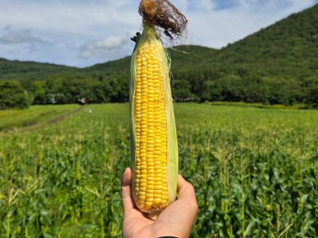 全国から集まった移住者5人が、北海道赤井川村の耕作
