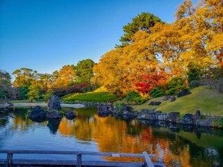 歴史薫る「駿府城」から出発。美しい紅葉山庭園と荘厳