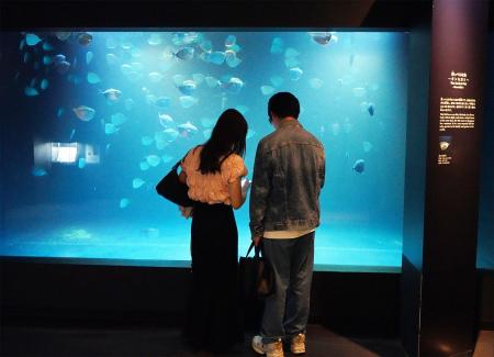 【9/6イベント開催報告】夜の水族館を舞台にした恋活