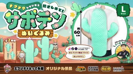 トゲトゲしない、抱きしめたいサボテン！ビッグサイズ