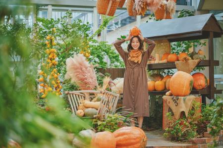 本物のかぼちゃ約300個が彩る 「ハロウィンフェア2026