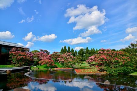「GREEN×EXPO 2027」ってなんだろう？Vol.4 「平成か