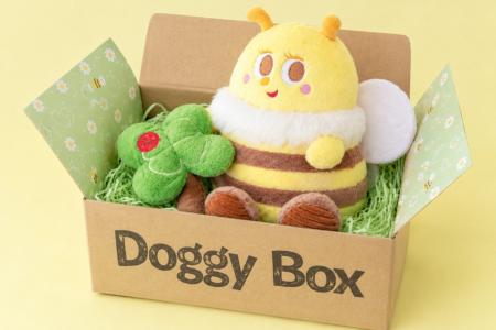 「Doggy Box」と特別コラボ 10月5日オープンの熱海・ 「Doggy Box」と特別コラボ 10月5日オープンの熱海・