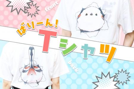 【新発売】ばりーん！と飛び出しちゃった！？鳥さん達