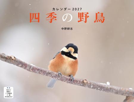 野鳥たちの姿と季節の織りなす情景を映し出す写真家・