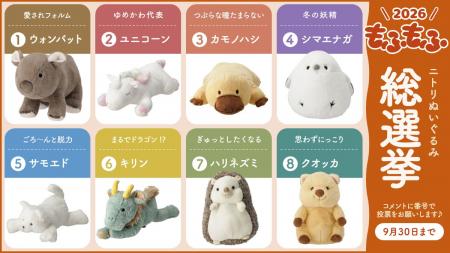 【X（旧Twitter）投稿キャンペーン】ニトリ”もふもふ”