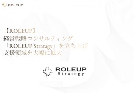 【ROLEUP】経営戦略コンサルティング「ROLEUP Strateg