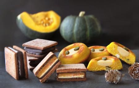 長野県クラフトチョコレートブランド「信州ショutf-8 長野県クラフトチョコレートブランド「信州ショutf-8