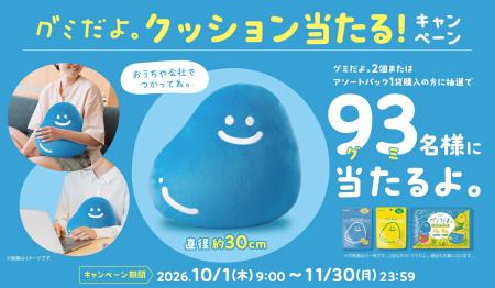 「グミだよ。」 オリジナルクッションが９３（グミ）