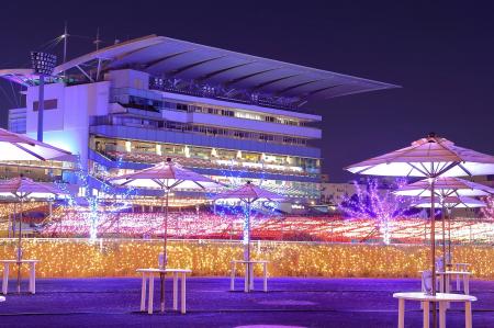 福井県坂井市が大井競馬場「東京メガイルミ2026-2027