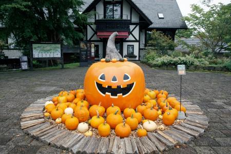 【山梨県・萌木の村】1000個以上のカボチャでガーデン