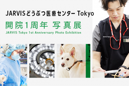 JARVISどうぶつ医療センター Tokyo、開院1周年