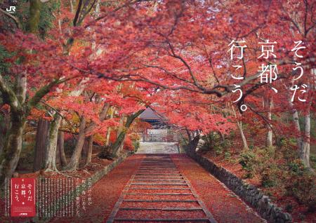 京都の東の玄関口、山科で“圧倒的な秋”に出会う「そう