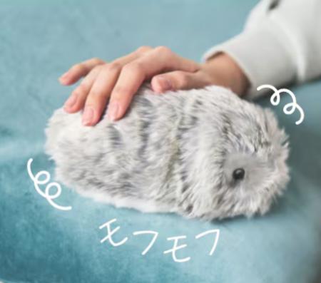 【小学5年生~中学3年生の女子対象】AIペットロボット 【小学5年生~中学3年生の女子対象】AIペットロボット